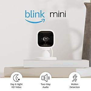 blink-mini-1.webp