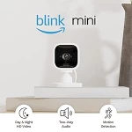 Blink Mini