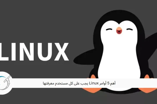 أهم 5 أوامر Linux يجب على كل مستخدم معرفتها