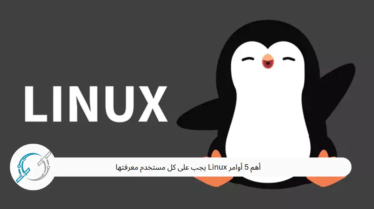 أهم 5 أوامر Linux يجب على كل مستخدم معرفتها